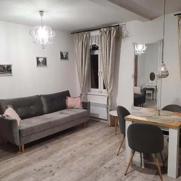 Apartament Kominkowy przy Parku，位于Białowąs的酒店