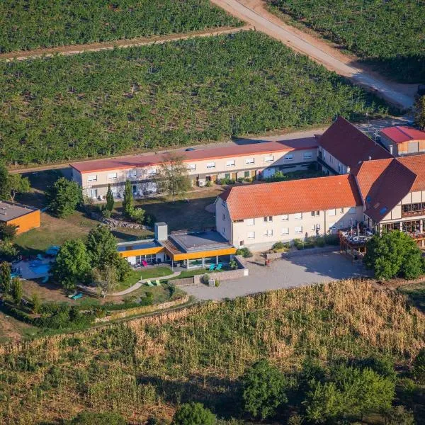 Hôtel du Bollenberg - Restaurant "Côté Plaine" - Spa de la Colline，位于Bergholtz的酒店