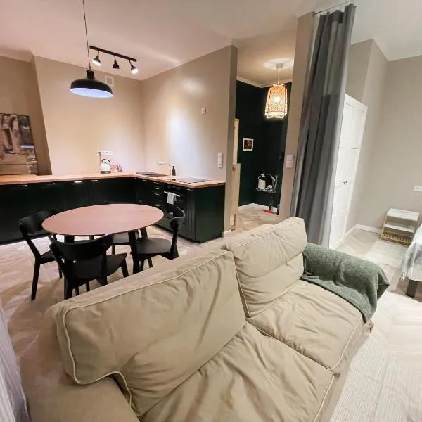 Chill Apartament，位于斯卡日斯科-卡缅纳的酒店