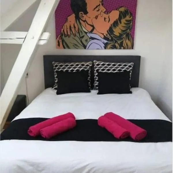 The pop-art luxury suite，位于沙勒罗瓦的酒店