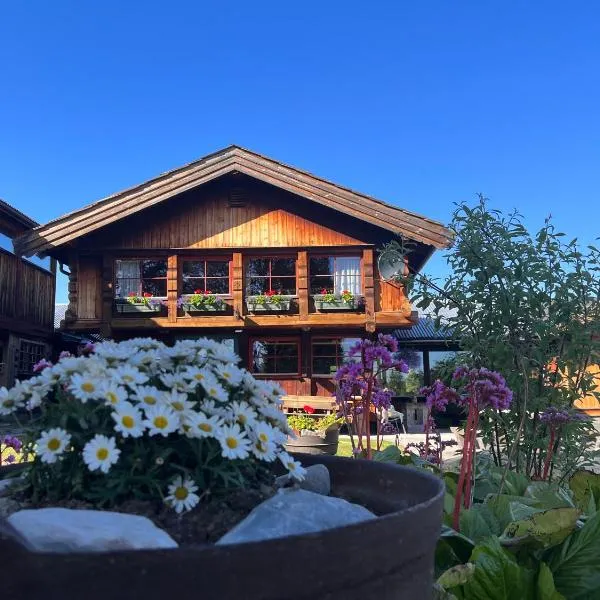 Måsåplassen Friisvegen Mountain Lodge，位于灵厄比的酒店