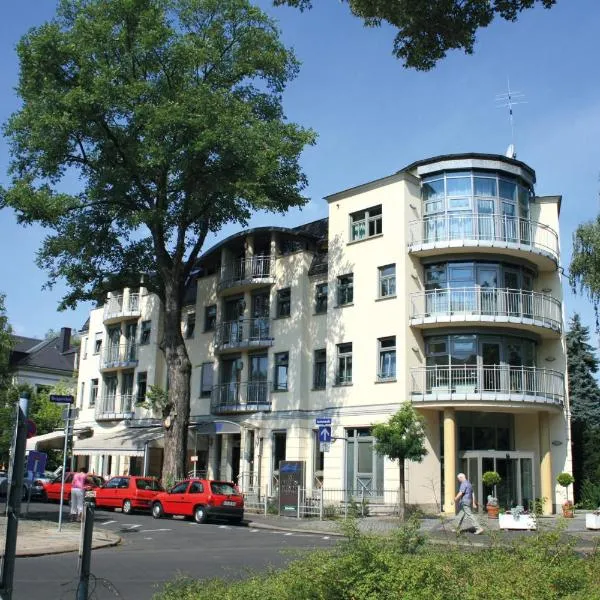 Hotel Am Blauen Wunder，位于皮尔尼茨的酒店