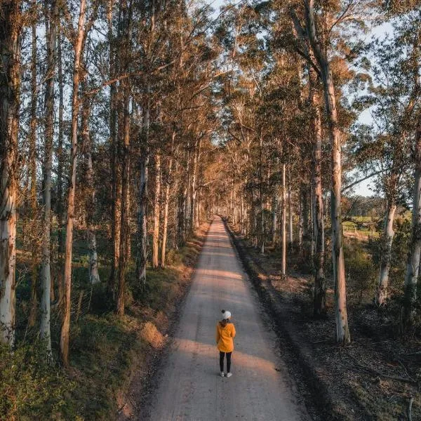 奥克赫斯特农场小屋别墅，位于维德尼斯的酒店