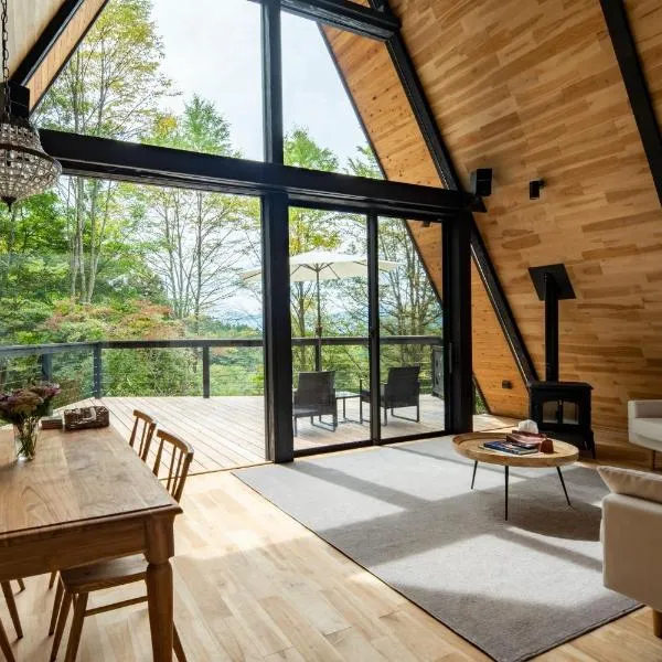 A-Frame House Minami Karuizawa - Vacation STAY 58046v，位于Tomioka的酒店