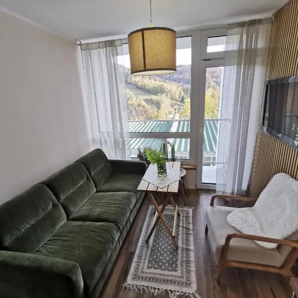 HEARTH HILL VIEW APARTMENT，位于乌斯特龙的酒店