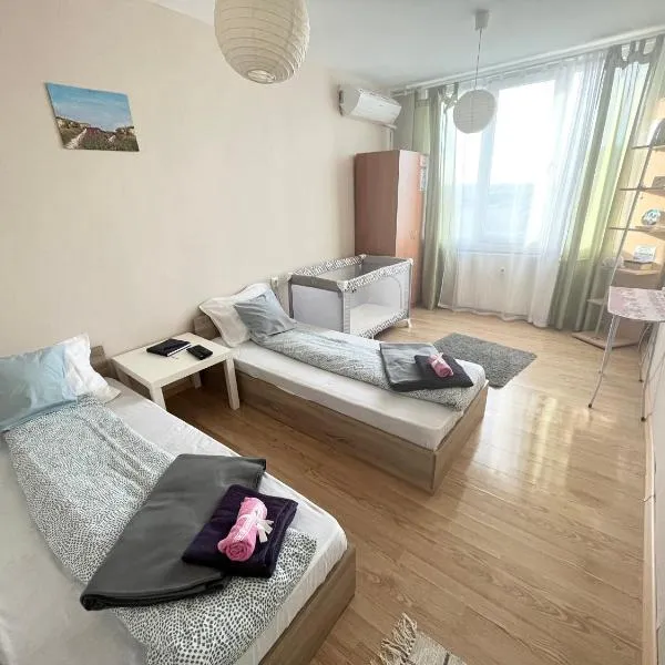 Airport Apartment，位于Gorna Malina的酒店