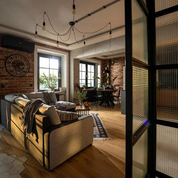 Industrial Apartment "I loft Opole"，位于奥普尔的酒店