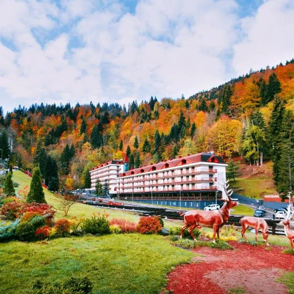 Sairme Hotels & Resorts，位于Nerget'i的酒店