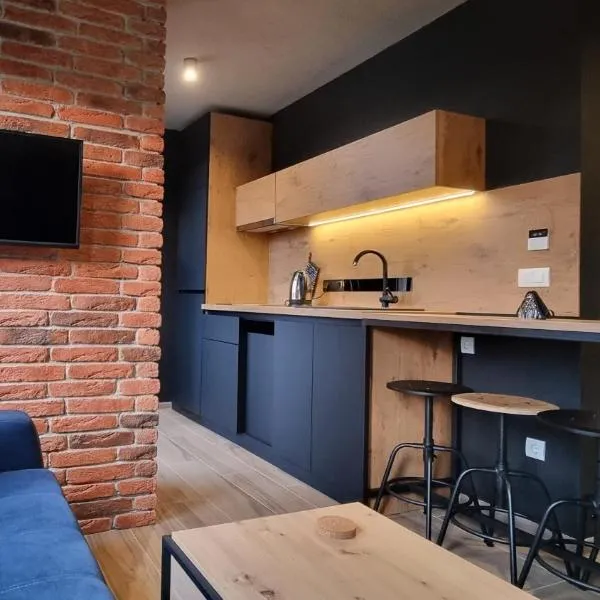 Apartman WINTER，位于帕莱的酒店