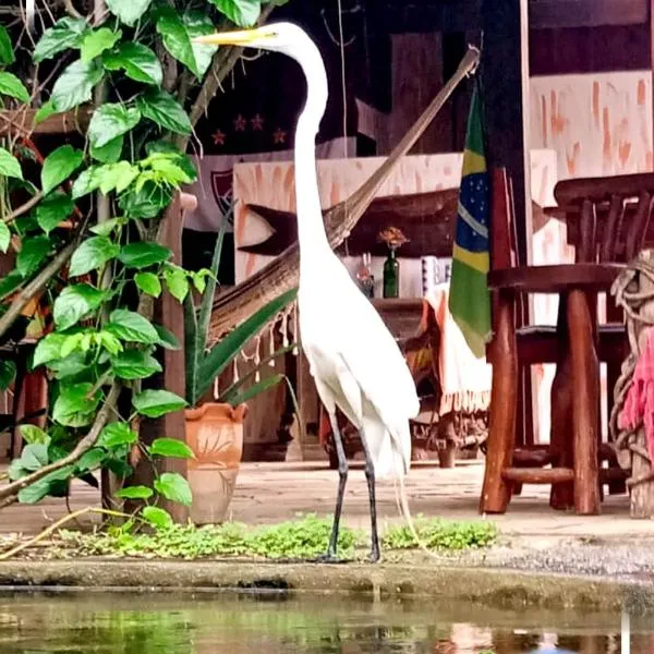 Pousada Chalé na Roça Penedo，位于雷森迪的酒店