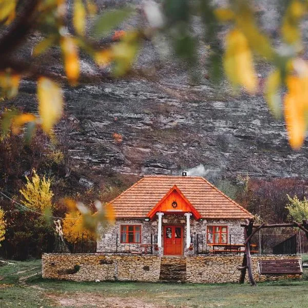 Casa Agricultorului Varzari，位于Butuceni的酒店