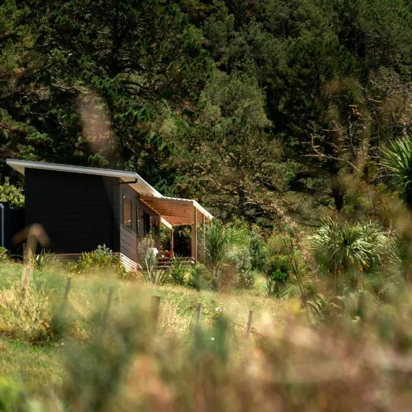 Koa Cabin Hahei，位于哈海的酒店