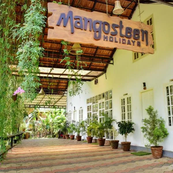 mangosteen holidays，位于维特利的酒店
