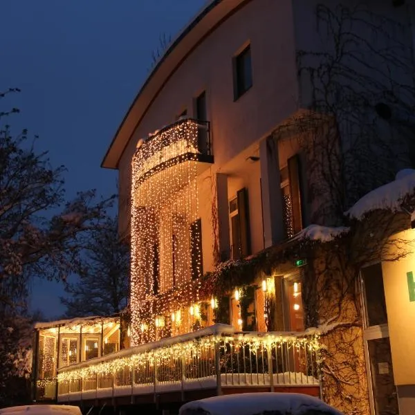 克劳斯温维特尔酒店，位于Kronberg的酒店
