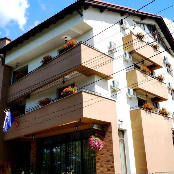 雷斯登斯酒店，位于Ipoteşti的酒店