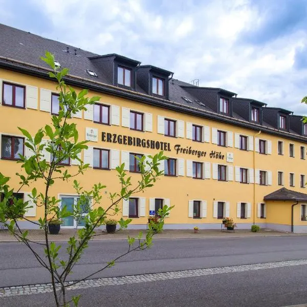 弗列柏格霍赫恩泽格比格斯酒店，位于Großhartmannsdorf的酒店