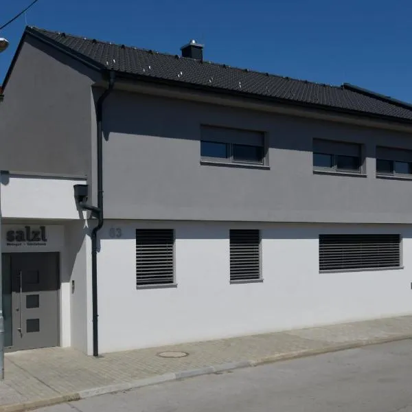 Weingut und Gästehaus Salzl Martin，位于伊尔米茨的酒店