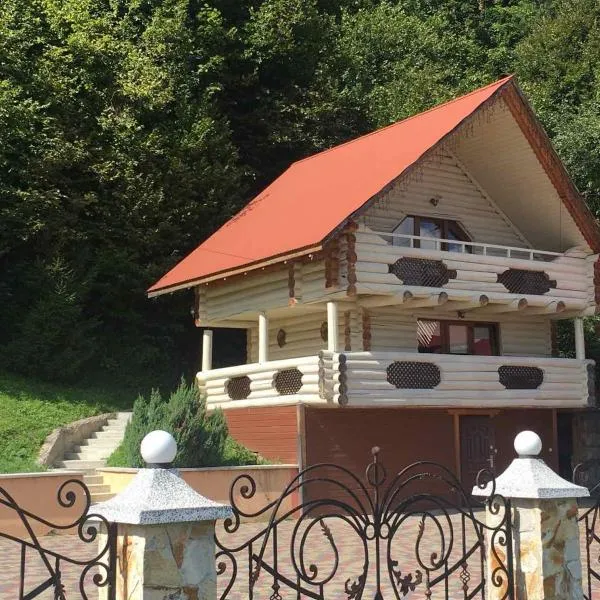 Domik Zubanicha，位于Verkhniy Bystryy的酒店