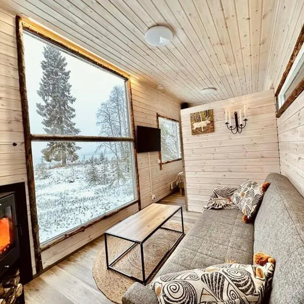 Unique Cabin with Breathtaking Northern Light View，位于Rytiniemi的酒店