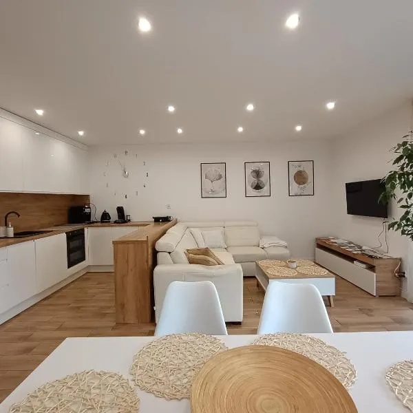 Apartament przy Kopalni Srebra，位于塔尔诺夫斯凯古雷的酒店