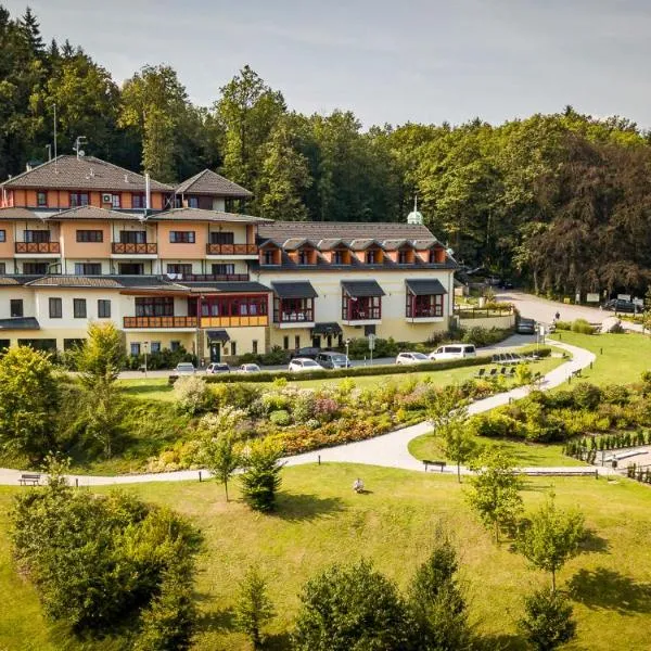 司徒坦克酒店，位于科内日诺河畔里赫诺夫的酒店