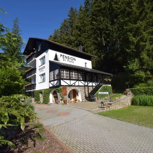 Pension St. Moritz，位于Javorná的酒店
