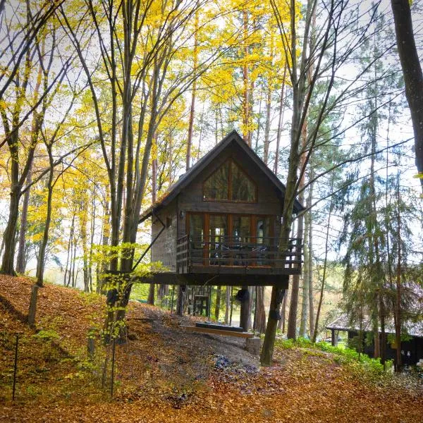 Na Skraju Lasu Domek na Drzewie & Glamping，位于卡齐米日-多尔尼的酒店