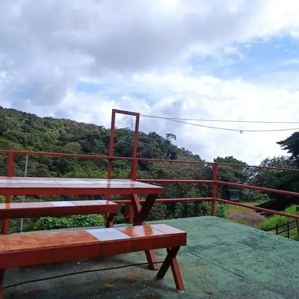 Monteverde Monkey Hostel，位于蒙泰韦尔德哥斯达黎加的酒店