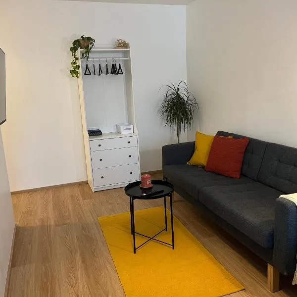 Cosy apartment in the heart of Lahti, free parking，位于拉赫蒂的酒店