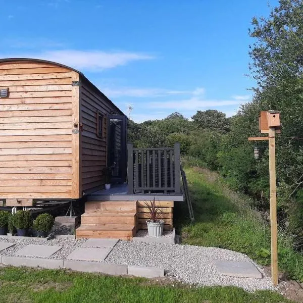 Shepherds Hut with hot tub on Anglesey North Wales，位于Llanfaelog的酒店