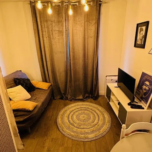 LA VILLA DEKO - Studio avec parking proche Université et Hôpital，位于堡维的酒店