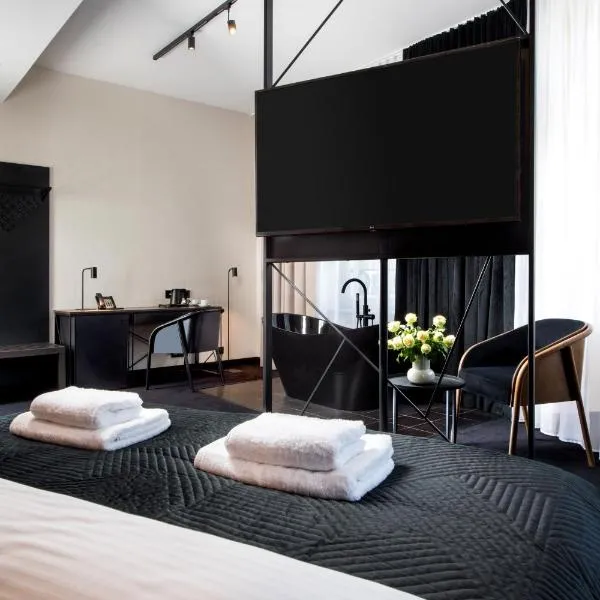 Hotel Krupnicza 30，位于克拉科夫的酒店