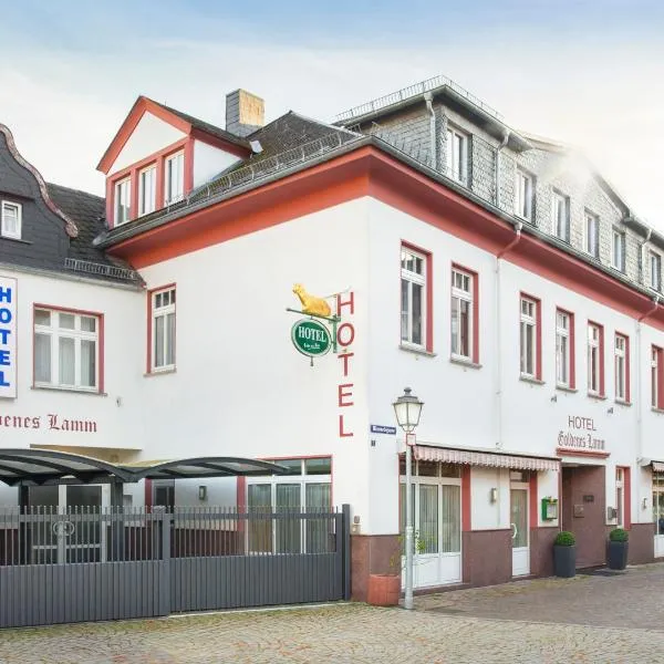 Hotel Goldenes Lamm，位于Limbach的酒店