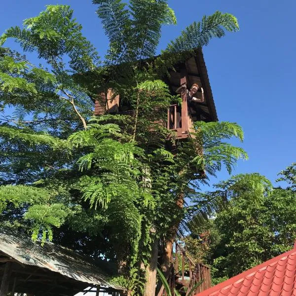 Mae Chan Treehouse with swimming pool，位于梅萨隆的酒店