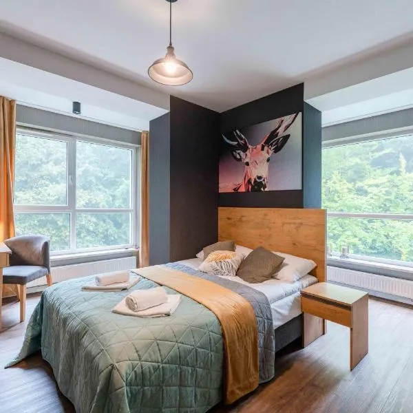 Kurort Kozubnik - Apartamenty Kiczora nad strumykiem - Dream Apart，位于Porąbka的酒店