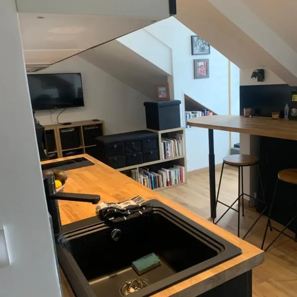 studio moderne，位于巴斯洛内特的酒店