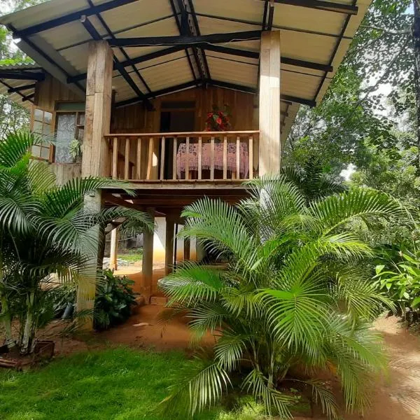 Ruk Sewana Villa Tree House，位于丹不拉的酒店