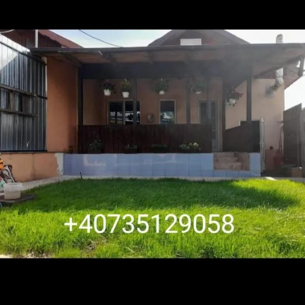 Central city house，位于图尔恰的酒店