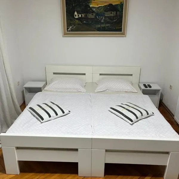 Apartman House Jasmina，位于Račić的酒店