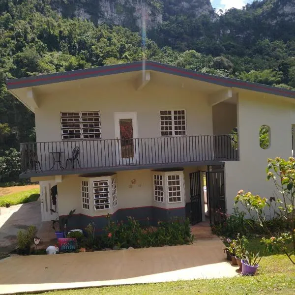 Casa de Campo Rio Arriba，位于阿雷西博的酒店