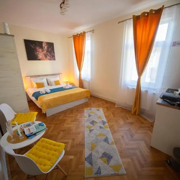 Happy Mood Apartments，位于布拉索夫的酒店