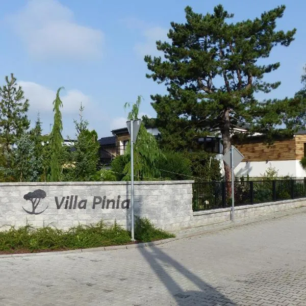 Villa Pinia，位于戈恰乌科维采·兹德鲁伊的酒店