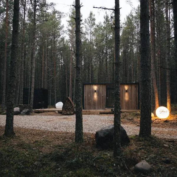 ÖÖD Hötels Rooslepa - FIKA, MYSA , SKÖNT-with sauna，位于Dirhami的酒店