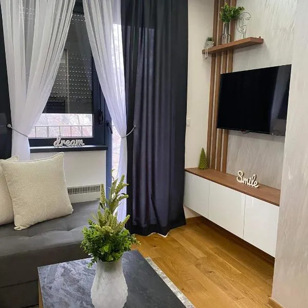 Apartman Sivcevic Titova VIla，位于Palisad的酒店