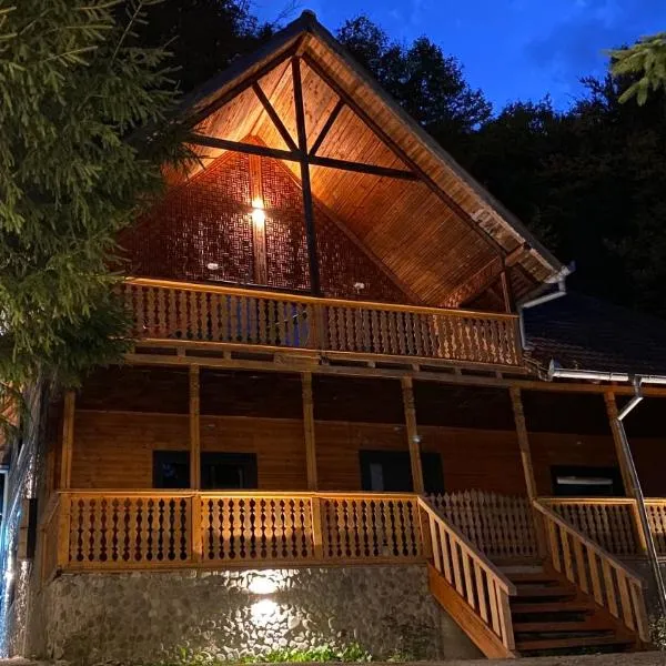 V13 Wild Cabin - Traditional mountain cabin with cosy modern rooms，位于Plavăţu的酒店