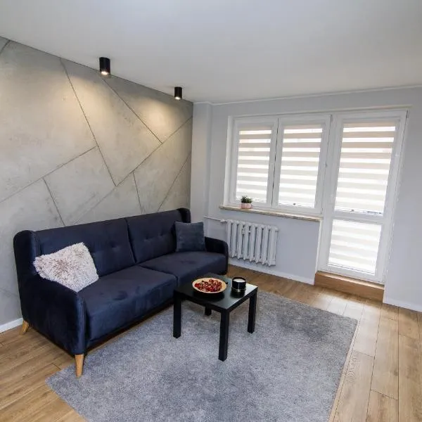 Apartament KOPERNIK w centrum，位于伊拉华的酒店