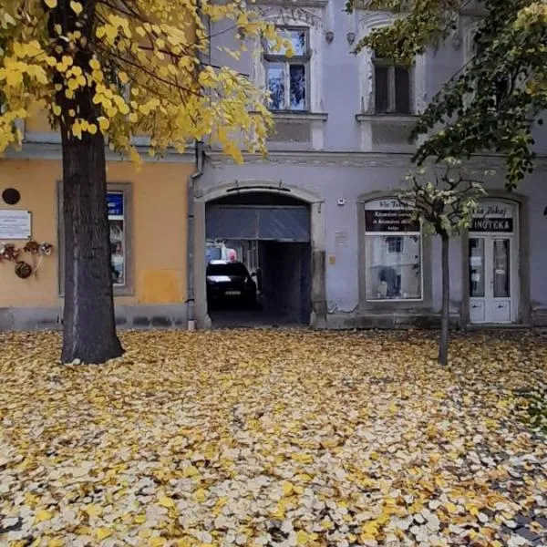 Via Tokaj Vendégház，位于Mikóháza的酒店