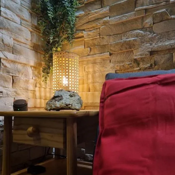Studio 4 couchages dans un chalet tout confort，位于尚鲁斯的酒店