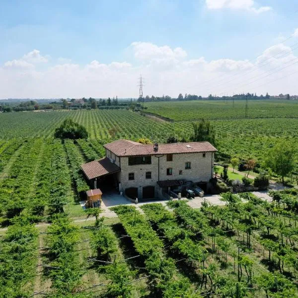 Corte Odorico，位于佩德蒙特的酒店