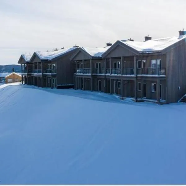 Perfect Christmas atmosphere! Beautiful Apartment at Skagahøgdi with Panoramic View，位于Gol的酒店